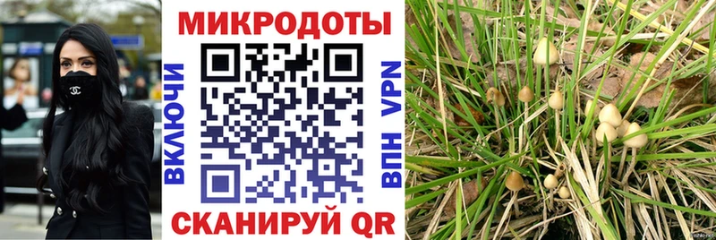 купить   Грязи  Псилоцибиновые грибы GOLDEN TEACHER 