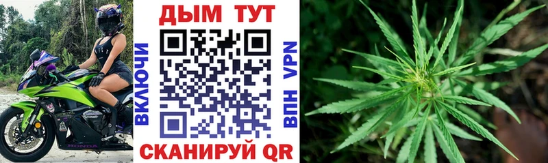 Бошки марихуана Ganja  Грязи 